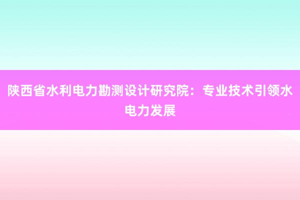 陕西省水利电力勘测设计研究院：专业技术引领水电力发展